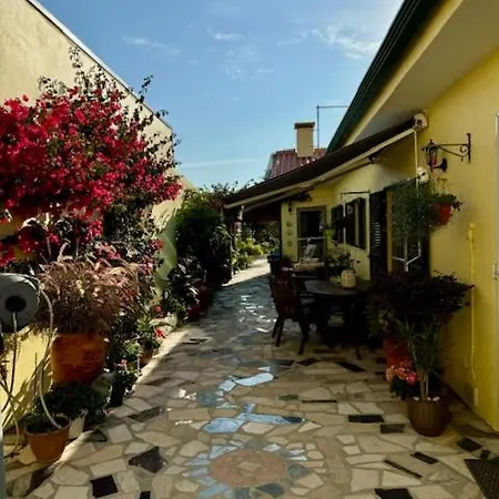 펜션 200m - Train Station Barrinha House & Pool 에스모리츠