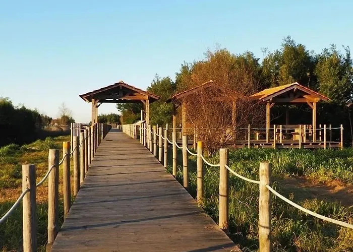 200m - Train Station Barrinha House & Pool בית נופש