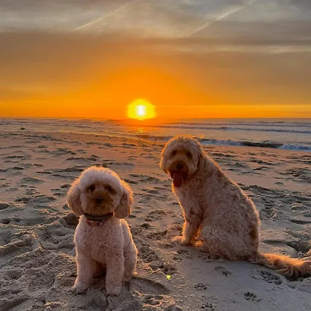 200m - Train Station Barrinha House & Pool Esmoriz