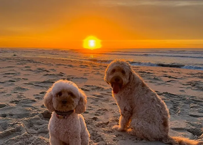 200m - Train Station Barrinha House & Pool Эшмориш